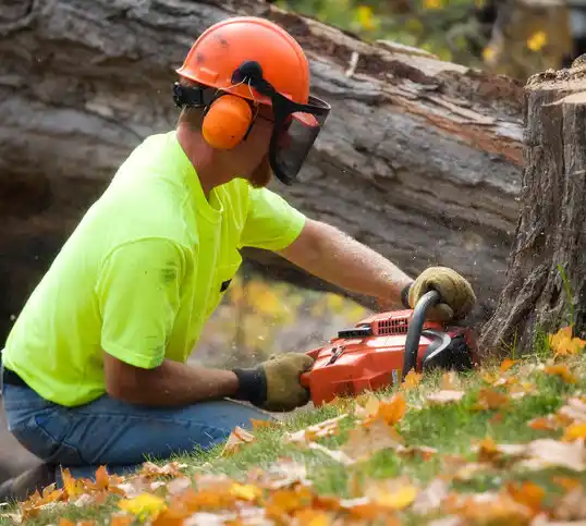 tree services Genoa